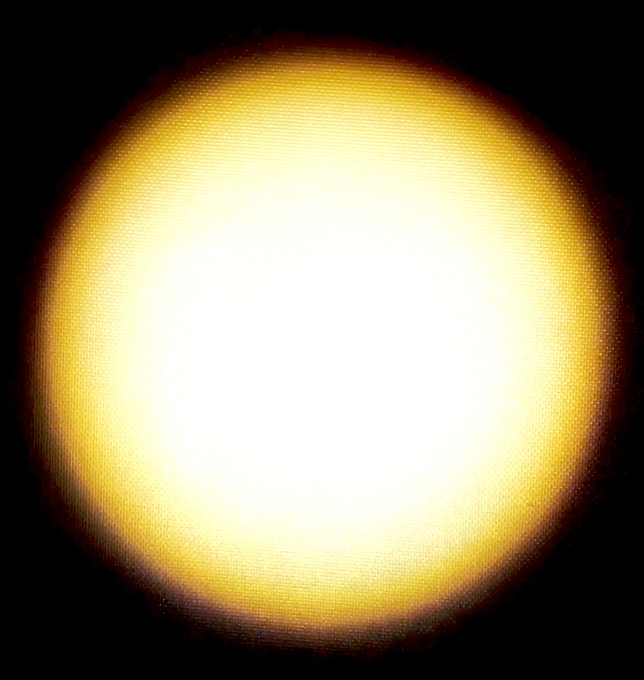 379001BF-323E-434A-861C-B606A8DACCD9.jpeg
