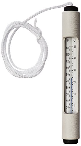 Pool Thermometer.jpg