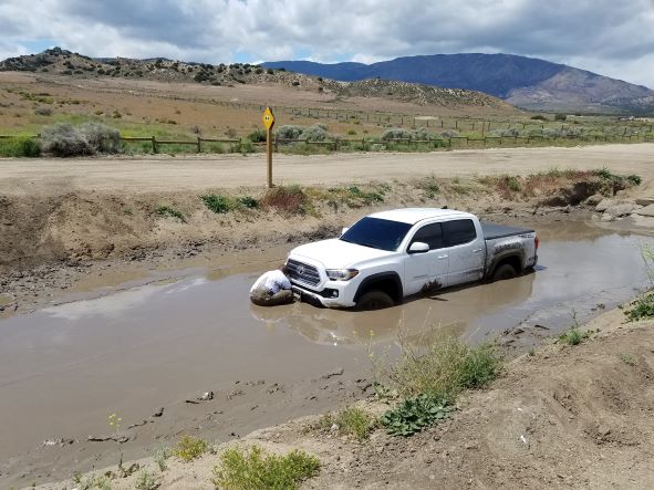 Stuck in mud & water.jpg