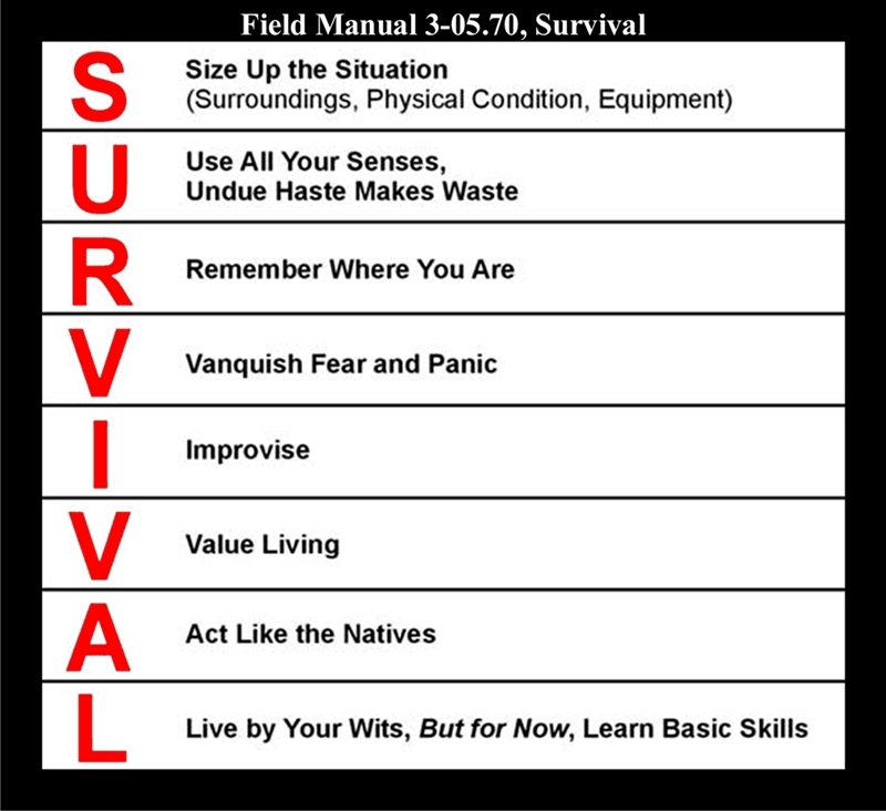 Another opportunity to put this graphic into mix...I constantly push these tenets.