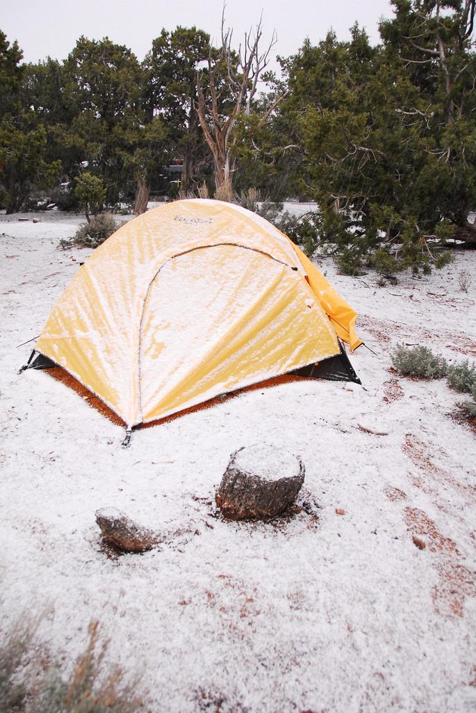 Caught in the snow.jpg