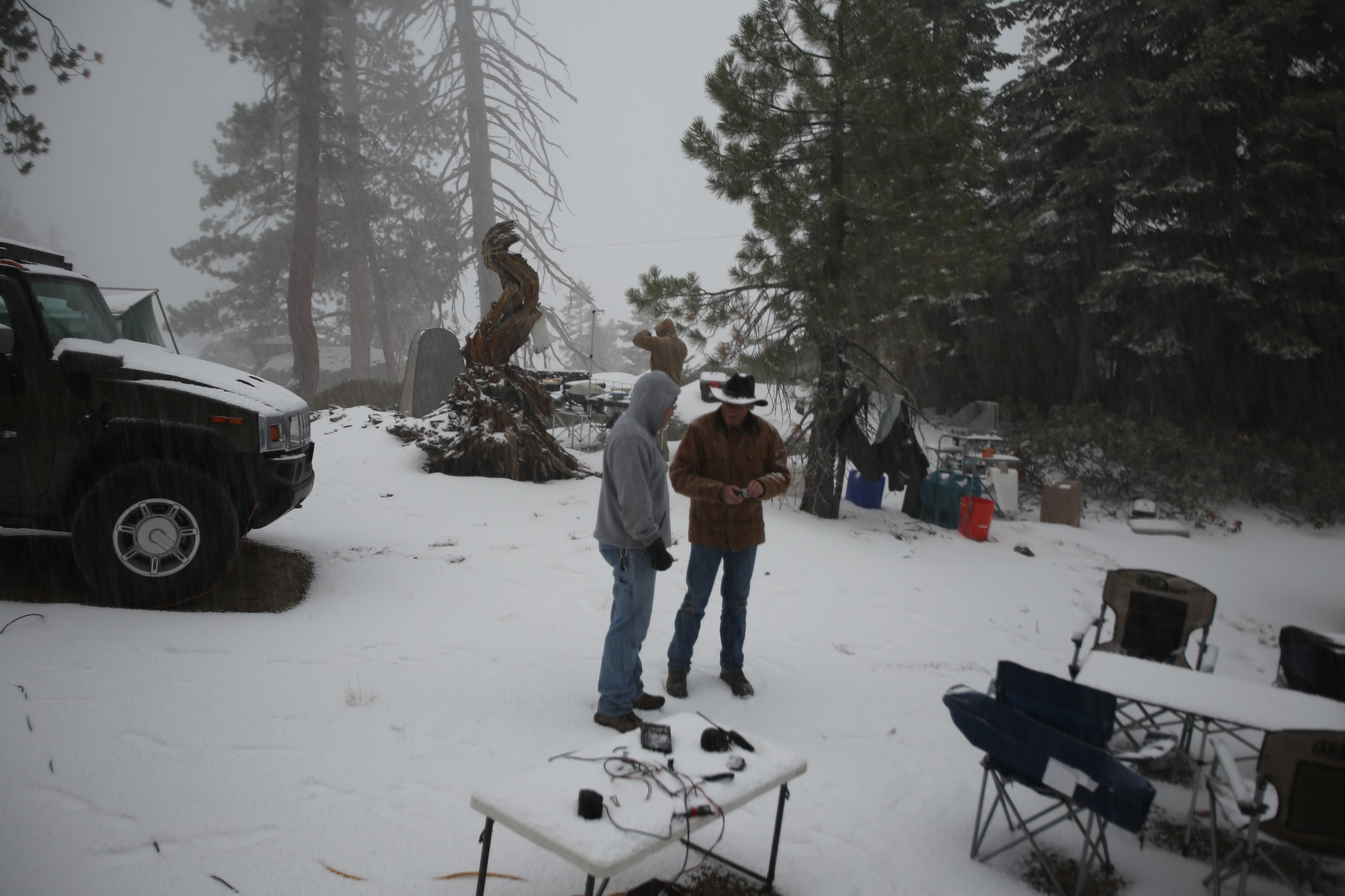 Kings cyn snow.jpeg