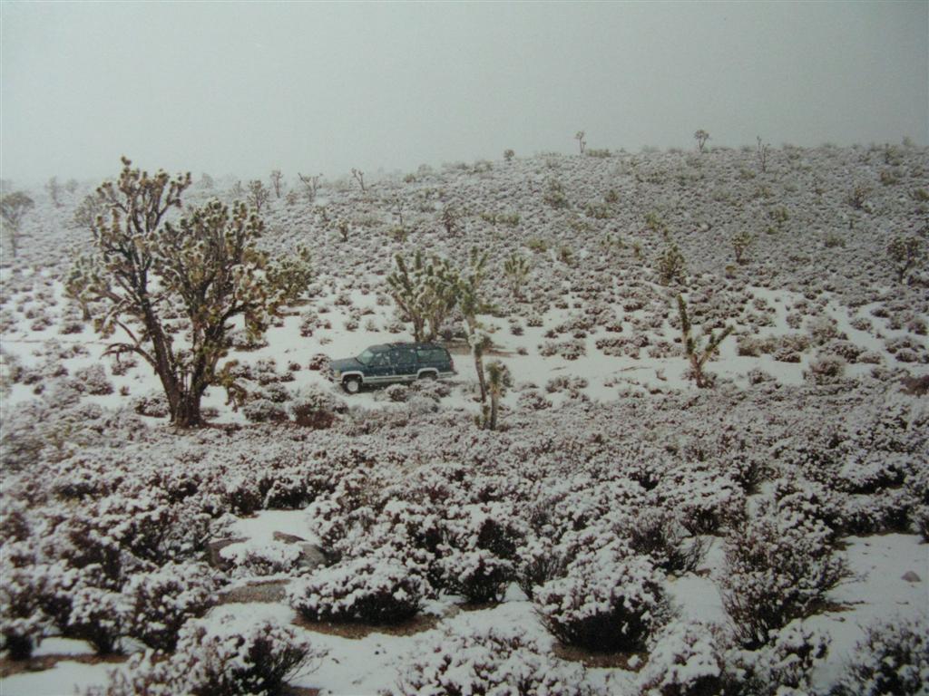 Mojave Snow in The Sub.JPG