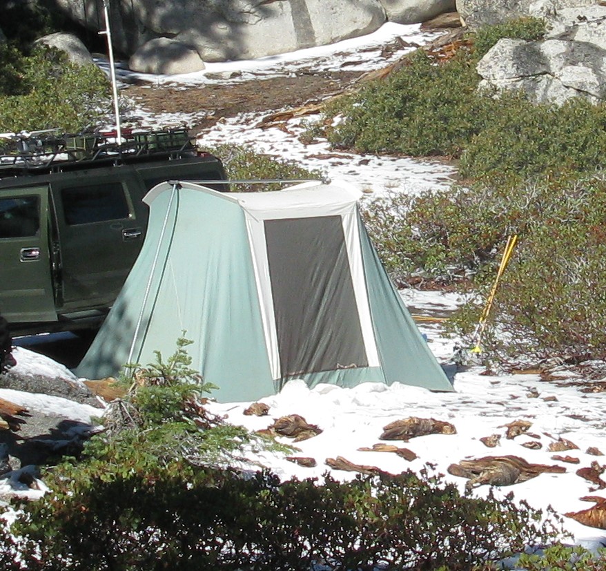 Springbar in the snow.JPG