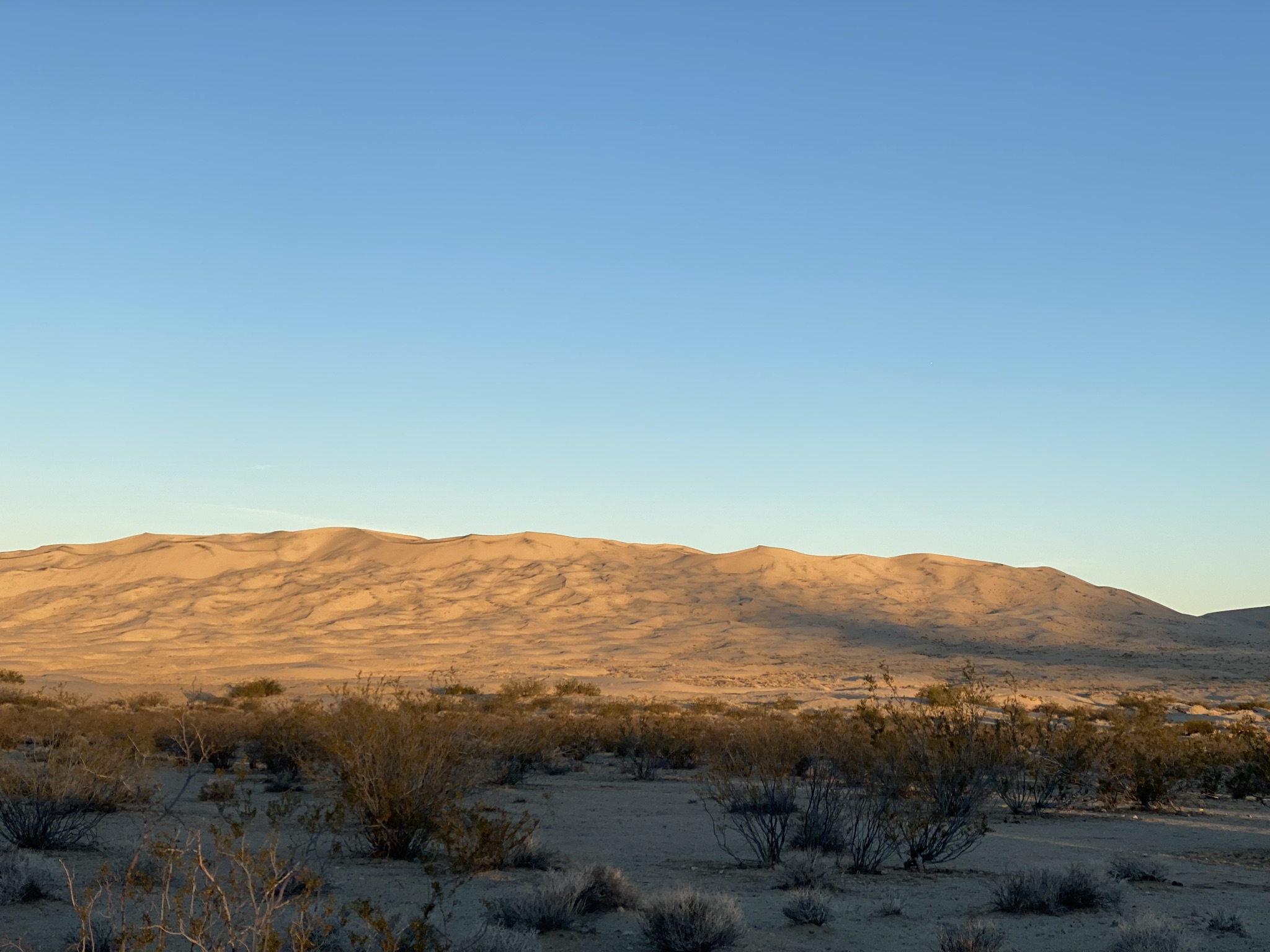 Kelso Dunes. Beautiful place to operate Ham radio.