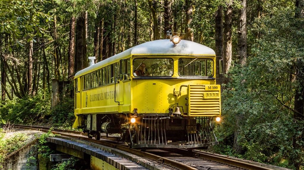 The combination of the fumes created a very pungent odor, and the old timers living along the line said these motorcars were like skunks, “You could smell them before you could see them.” Although the smell is now much reduced, we still like to think of ourselves as that little Skunk running through the redwoods.  https://www.skunktrain.com/about/