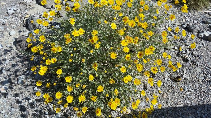 20150420_101659.jpg