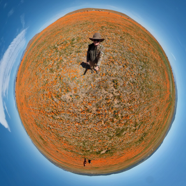 Poppies Planet.jpg
