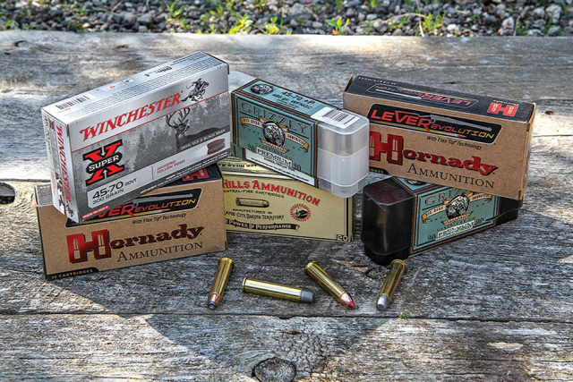 .45-70 Ammo.jpg