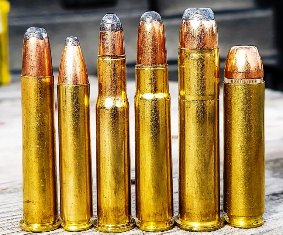 Trend or Fad:  From L-R 360 Buckhammer, 350 Legend, 30-30 WIN, 35 Remington,, 45-70 GOV'T &amp; the 450 Bushmaster (to show only a few)!  A great platform for varied purposes based on the wide variety of ammunition available.  Is &quot;modularity&quot; a drawback or a blessing...all things in moderation.