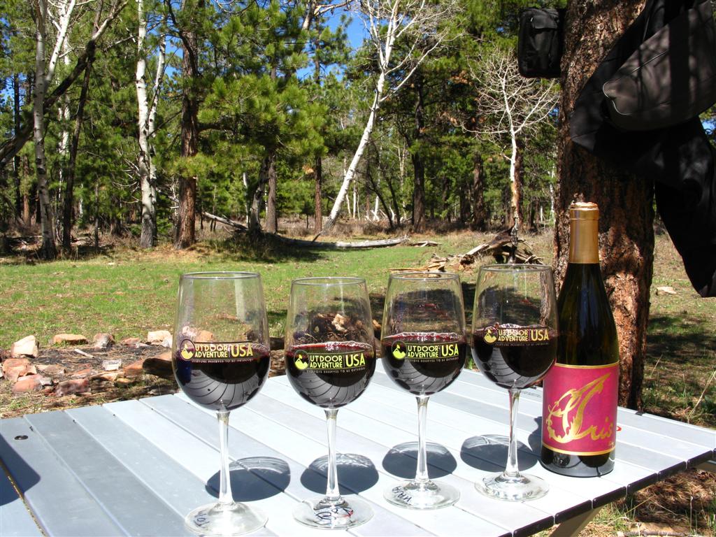 Wine in the Outdoors.JPG