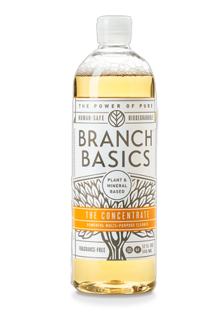 Branch Basics.png