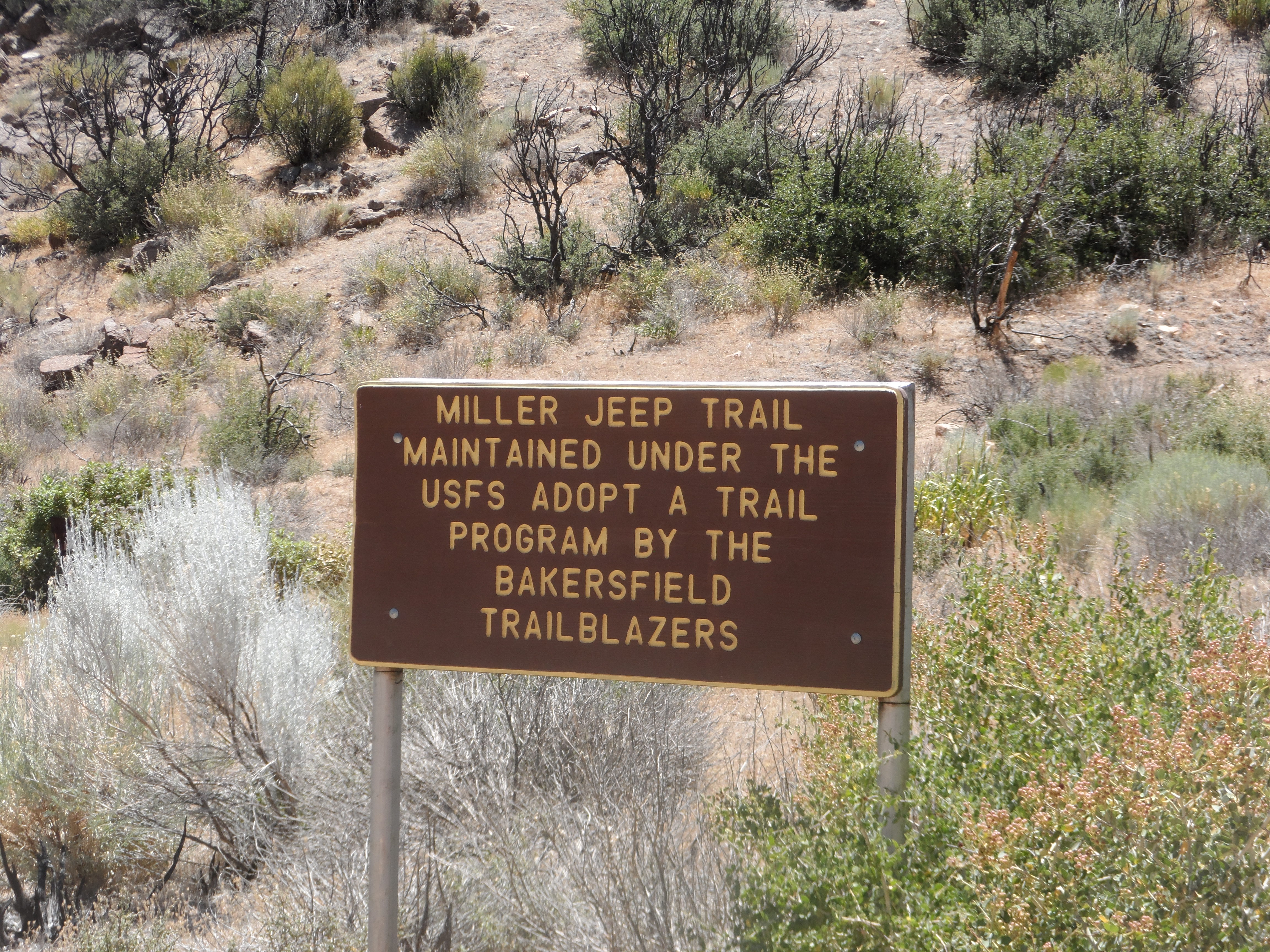 Miller Jeep Trail-1.JPG