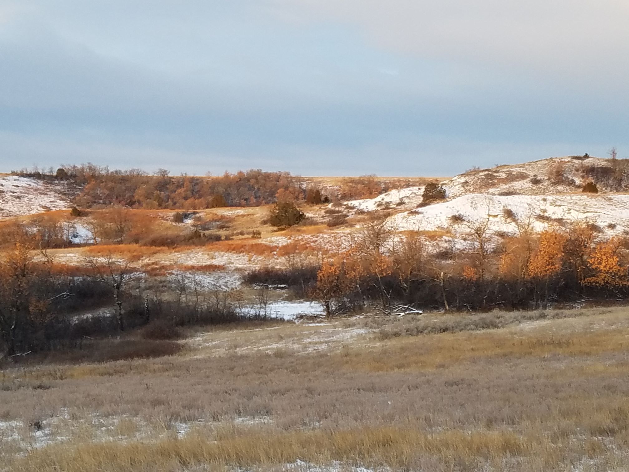Golden Valley Co.jpg