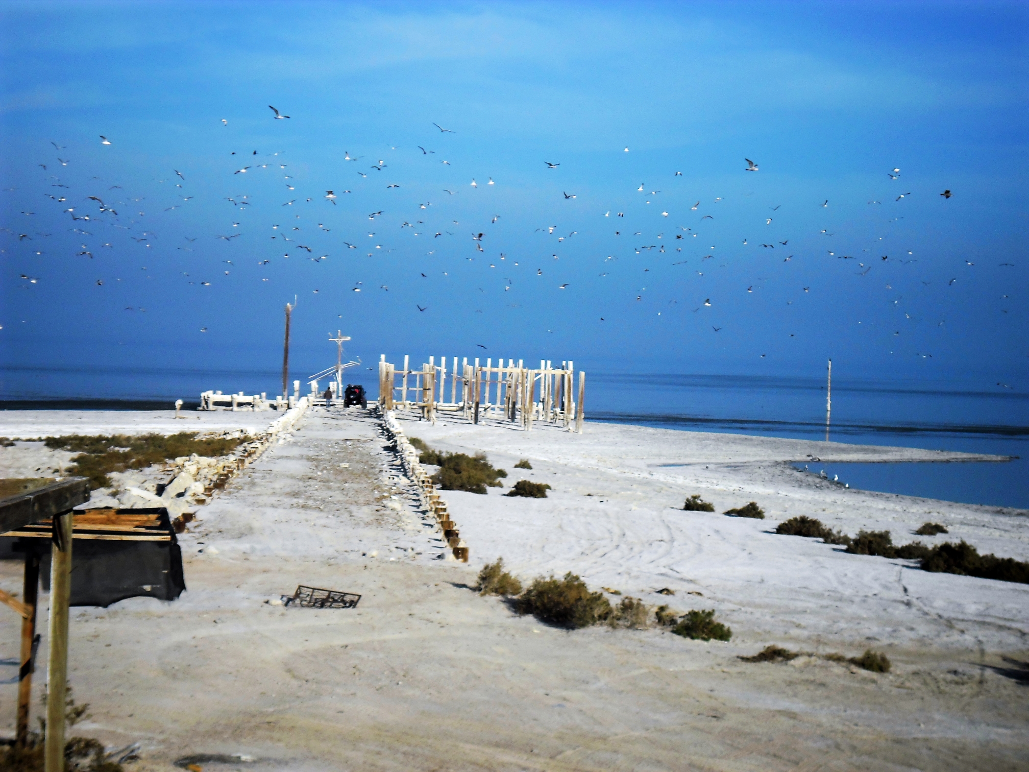 Old Sea Base  - Salton Sea CA.jpg