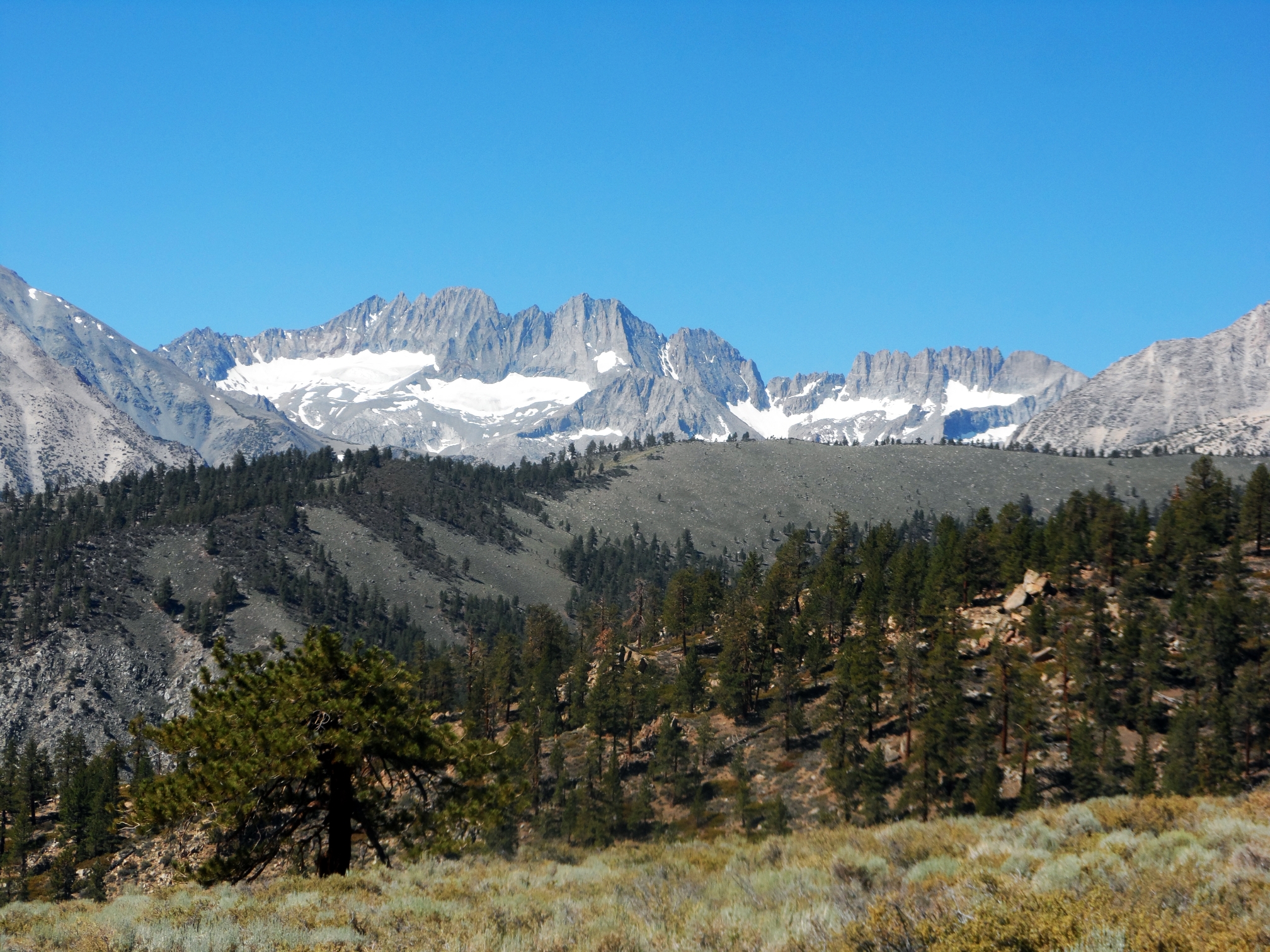 Palisade Glaciers - Sierra Mtns.jpg