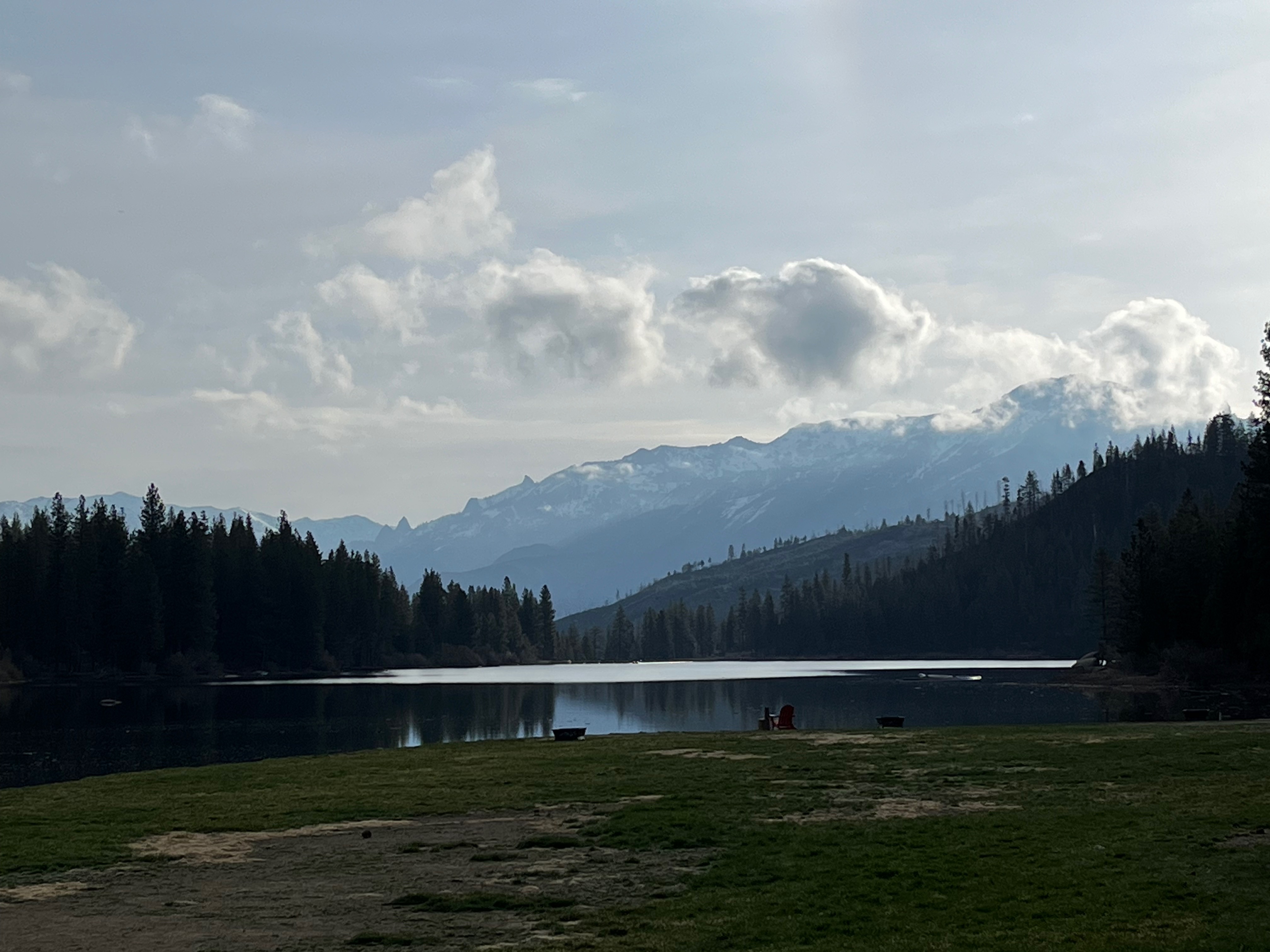 IMG_0786.jpg