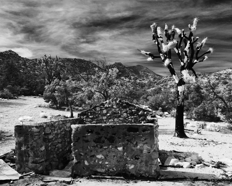 When history competes with time, sun, wind, rain and fire...slowly is overtaken by Mother Nature.