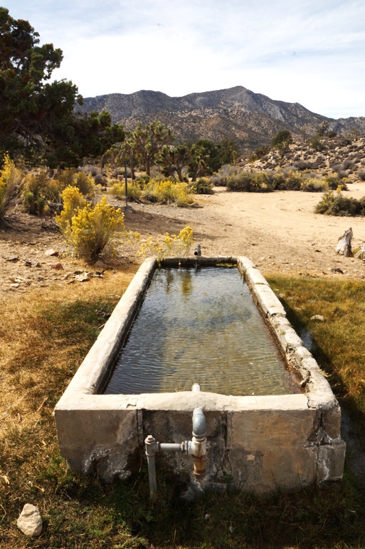 In the Big Horn Mountain Wilderness.