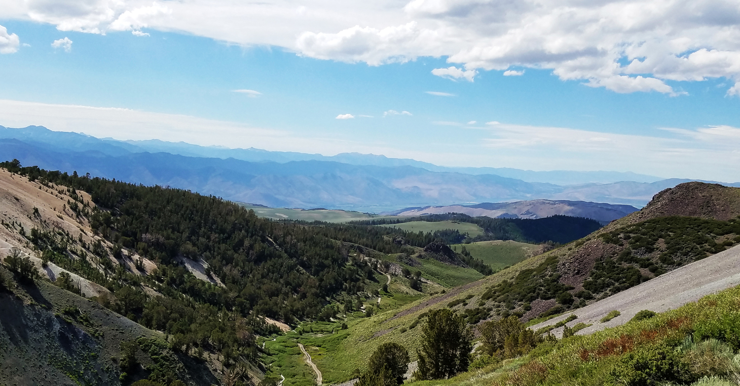Sweetwater view ms.jpg