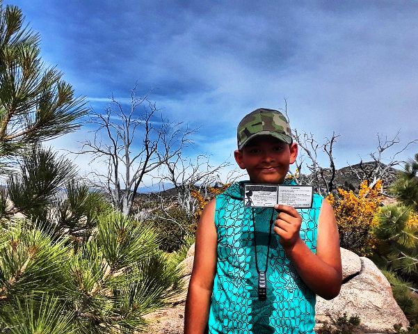 Newly issued Totin' Chip Card where we enter into an agreement.  He gets to carry and use edged implements when with me in an outdoor context.  If he violates safety or proper use rules, I cut off a corner of his card and if he gets all four corners cut off, he loses his privileges.  One incident may result in one or all corners being cut and retraining/retest required to recover lost privileges.