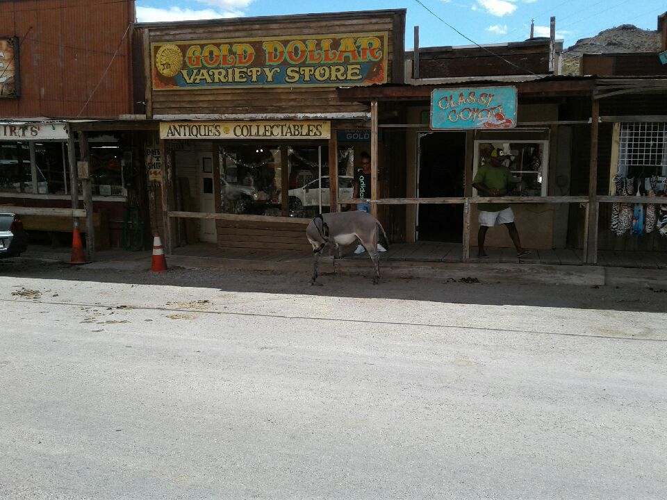 Oatman1.jpg