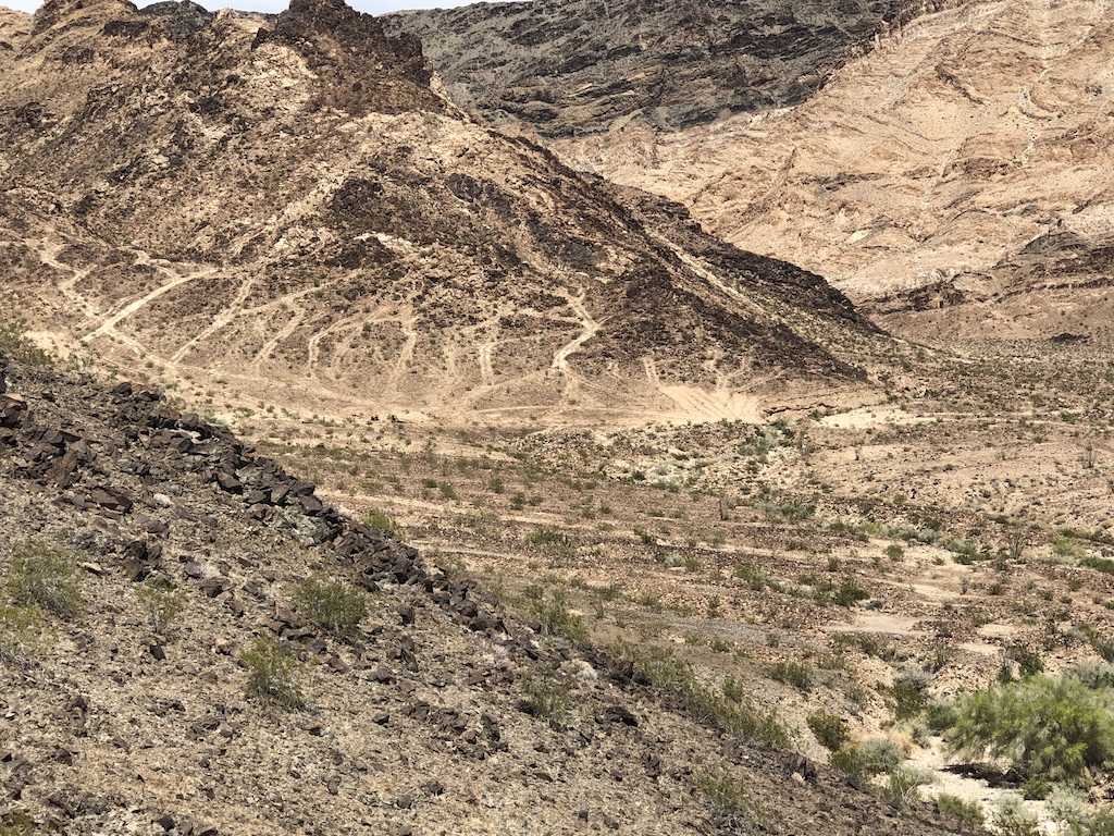 Tank Tracks.jpg