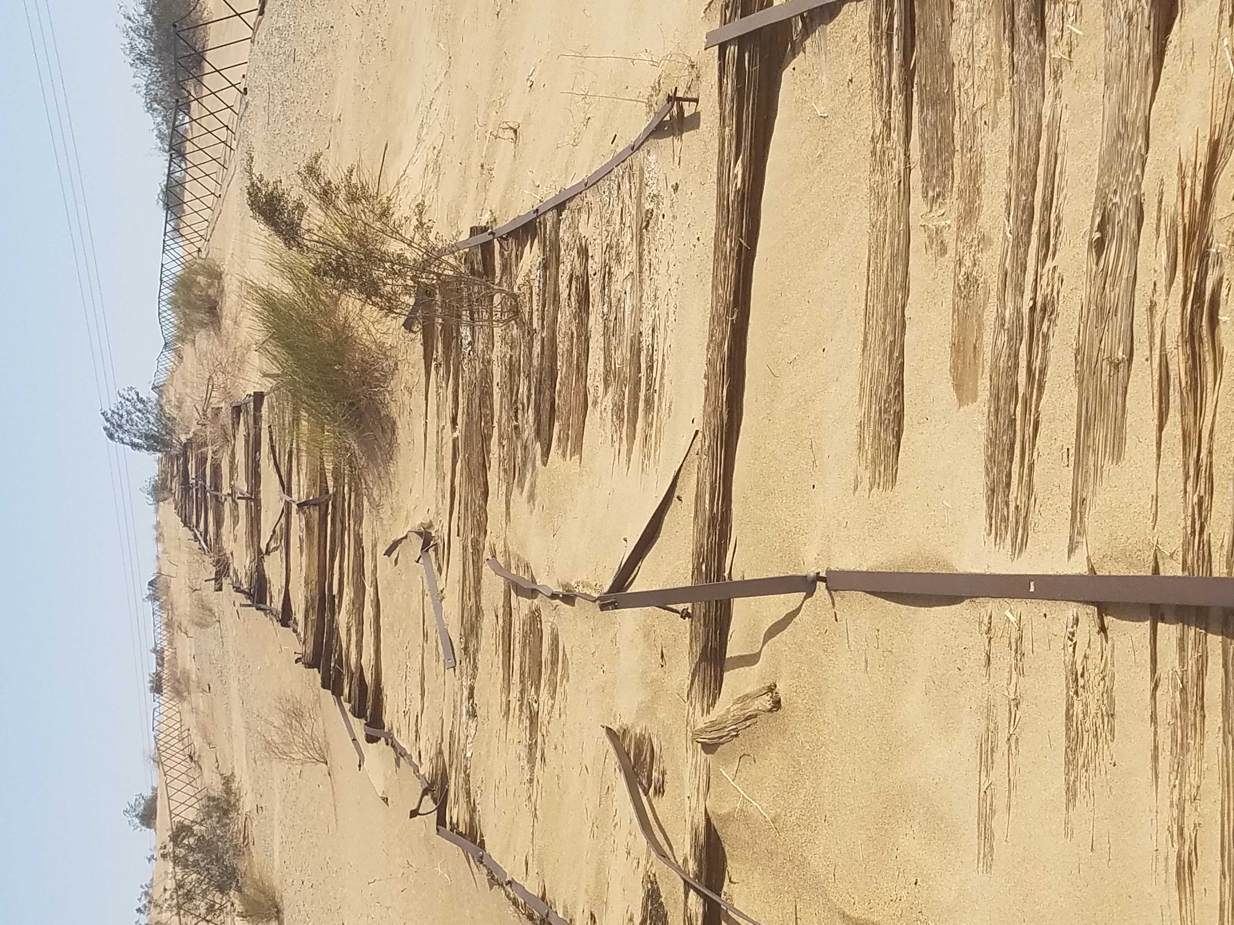 Plank Road - Copy.jpg