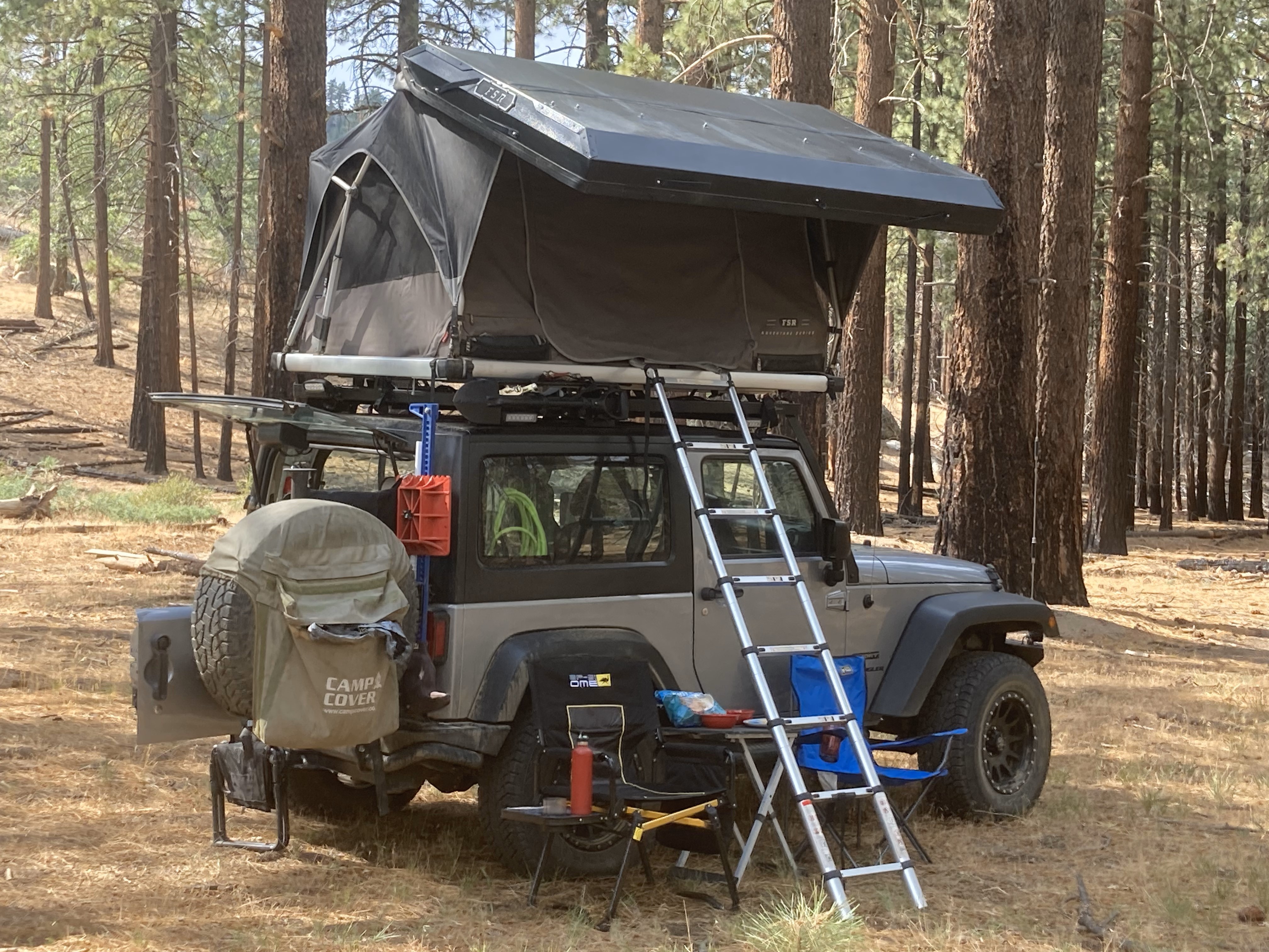 RTT in forest.jpg