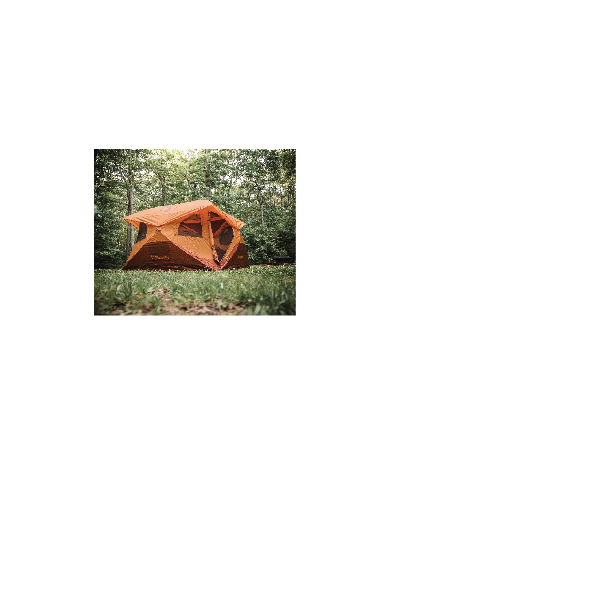 Gazell door open.jpg