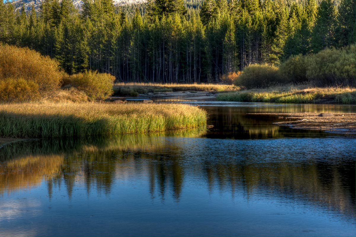 RiverGrass.jpg