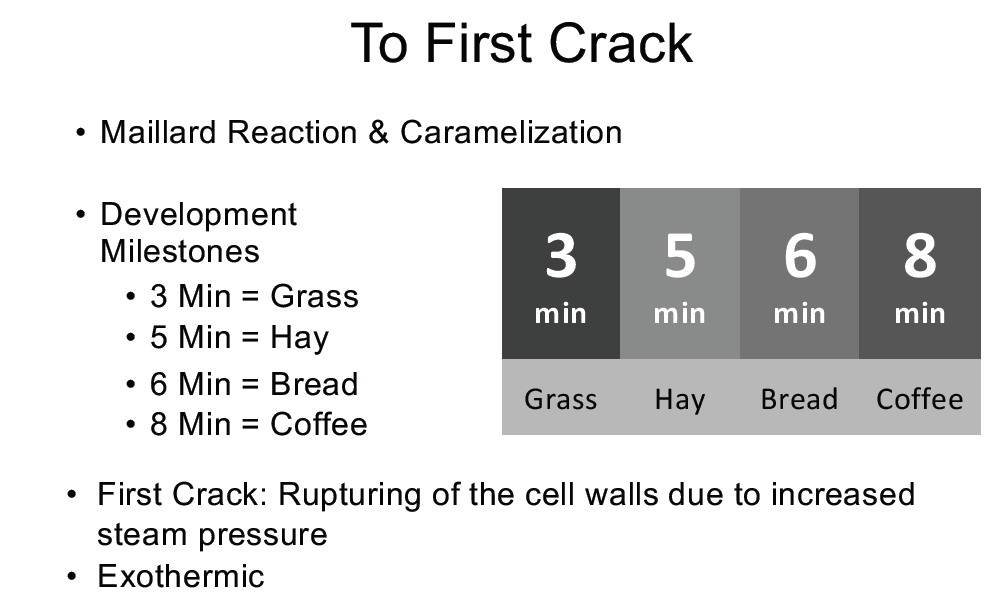 First Crack.png