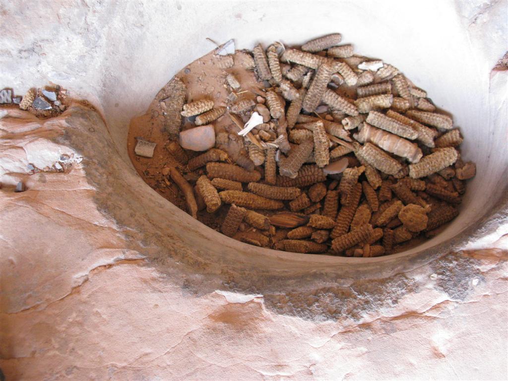Keet-15.JPG