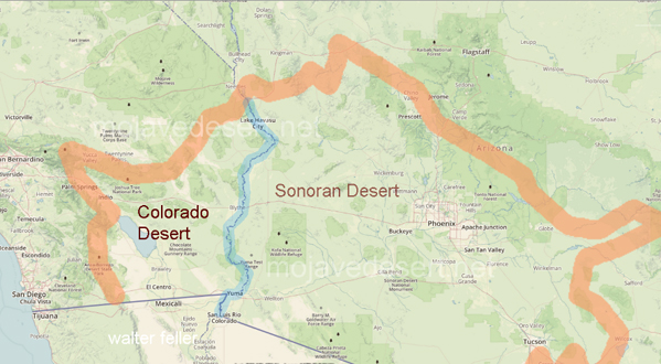 Sonoran Desert Map.jpg