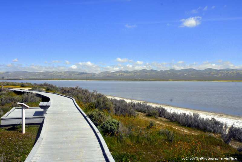 Soda Lake  - full.jpg