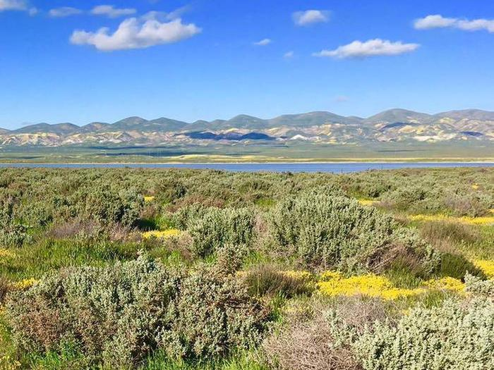 Soda Lake full-1.png