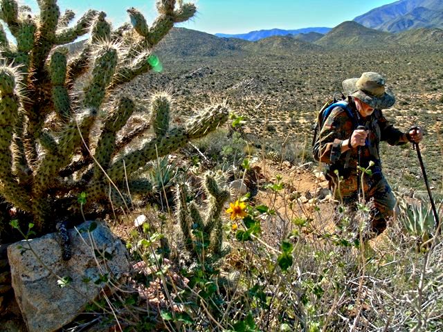 AB 01 Marshal South Hike.jpg