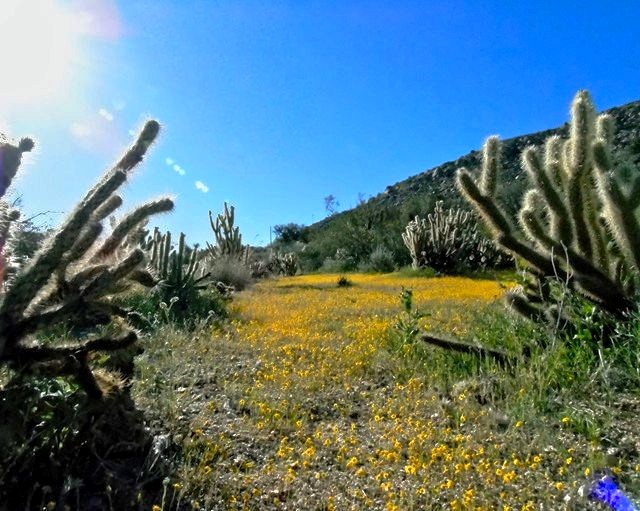 AB 02 Marshal South Hike.jpg