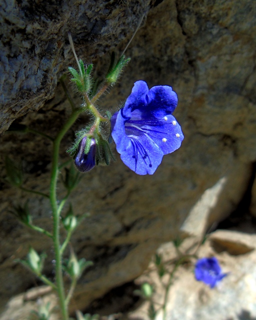 AB 09 Marshal South Hike.JPG