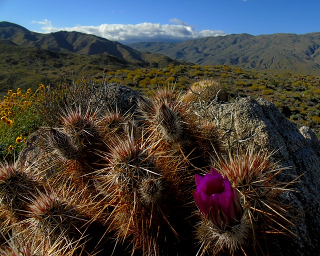 AB 10 Marshal South Hike.JPG