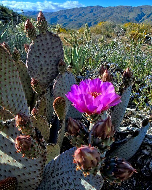 AB 13 Marshal South Hike.jpg