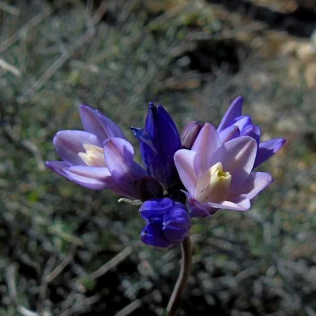 AB 21 Marshal South Hike.JPG