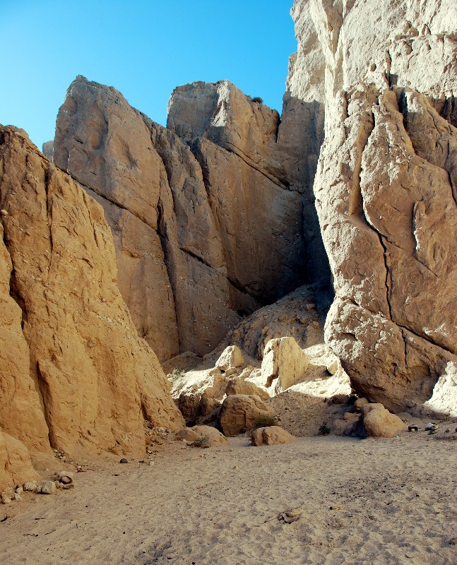 DSC_0044.JPG