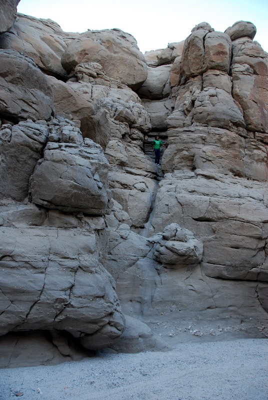 DSC_0133.JPG