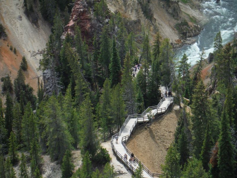 Trail Into Grand Canyon of the Yellowstone-1.jpg