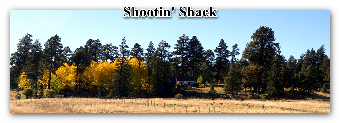 What is new in the 2A legal zoo?