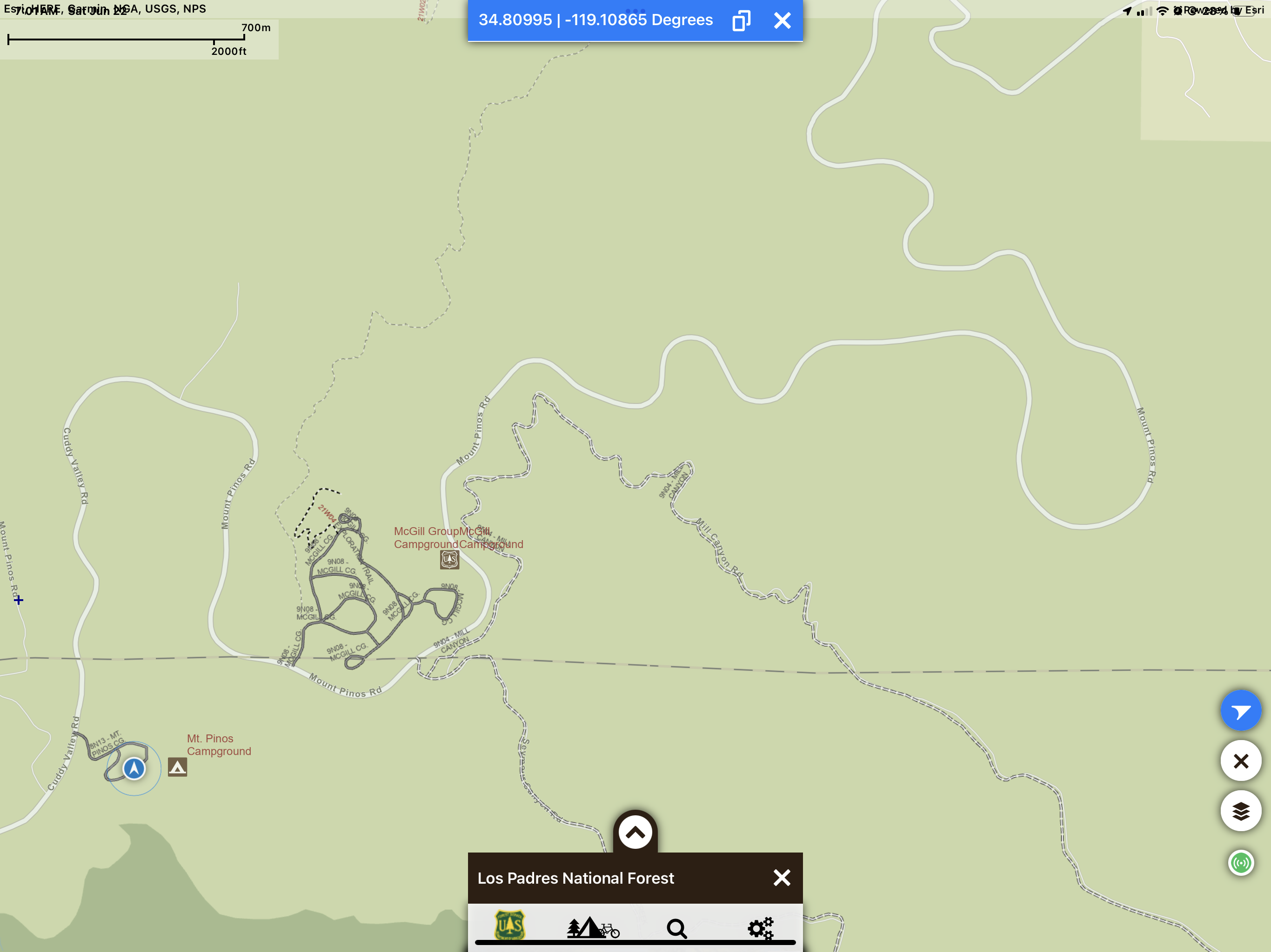 Camp area Mount Pinos Campground