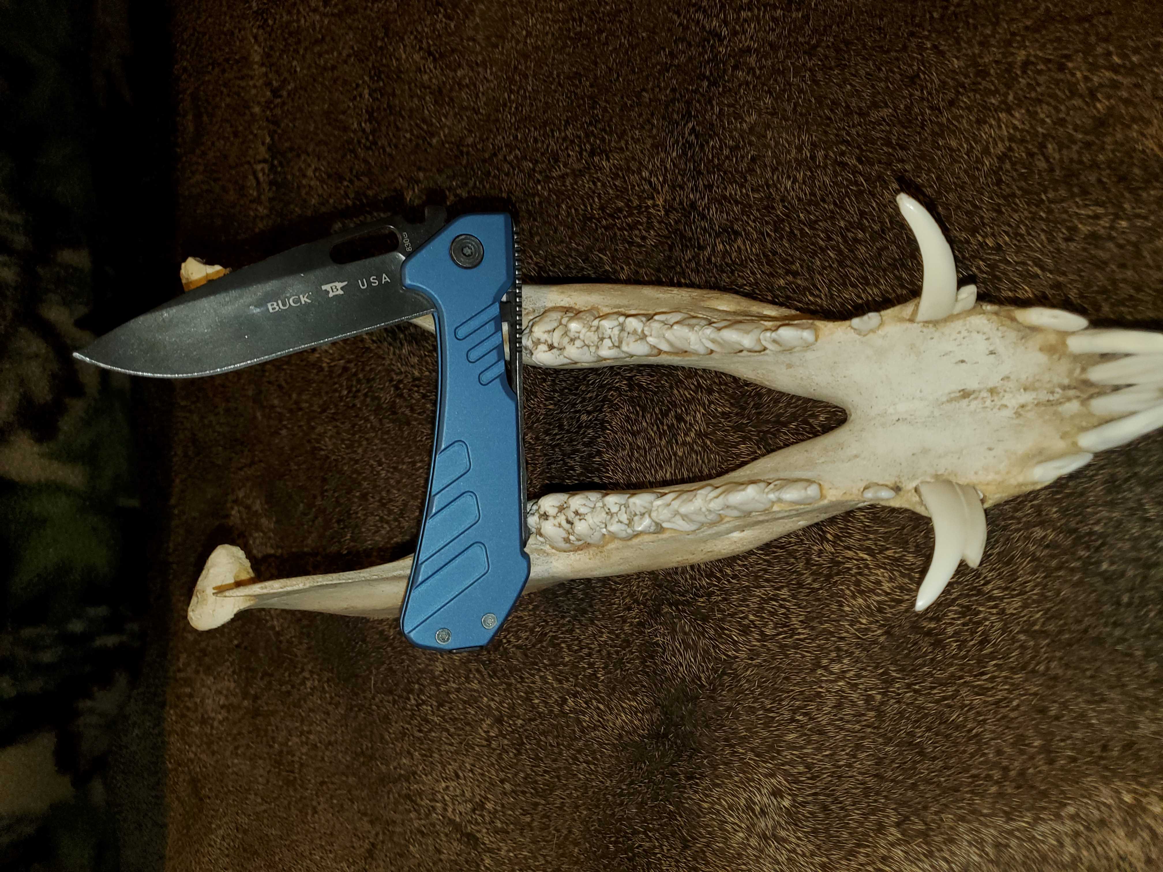 Buck Marksman - Copy.jpg