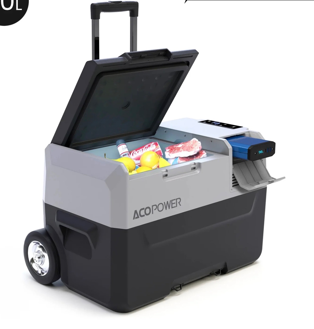 LIONCooler 1.jpg