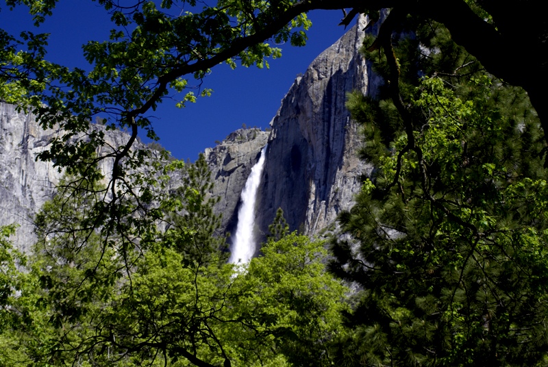 DSC08054.JPG